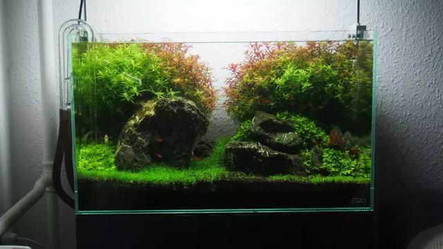 ada挖矿app官方推行下载 ada挖矿教程 ada挖矿app官方推行下载 ada挖矿教程